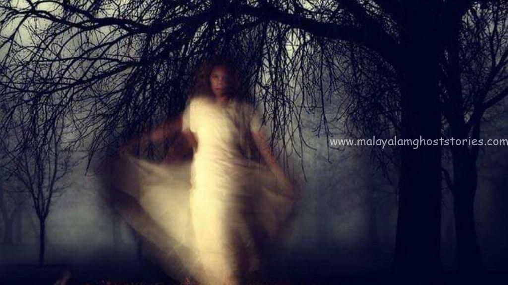 സുമതി വളവ്: മാറാത്ത ഭീതിയുടെ ദുരന്തകഥ