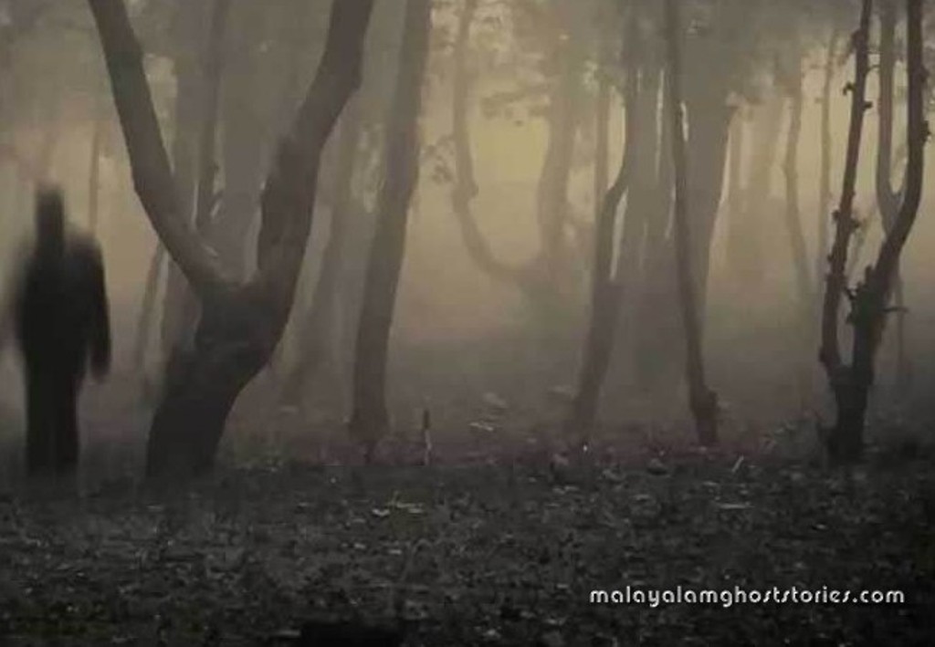 ബിഗ്ഫൂട്ട്: എന്റെ ജീവിതത്തെ മാറ്റിയ ഭീതി!