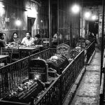 Dining with the Dead: My Night at New Lucky Hotel