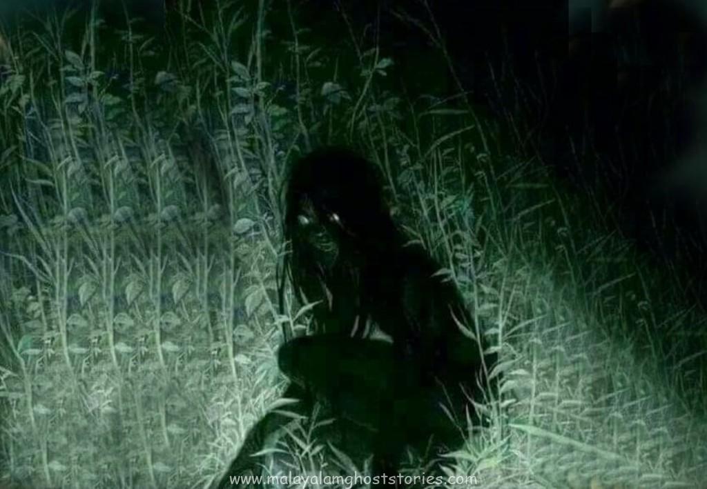 വാഗമണ്ണിലെ ആ രാത്രി: എന്നെ ഭയപ്പെടുത്തിയ രൂപം